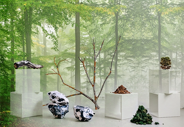 Natural materials displayed on pedestals in a studio forest setting, including wood, stone, and organic elements