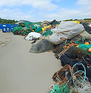 Mixed sea waste materials placed outdoors near the shoreline